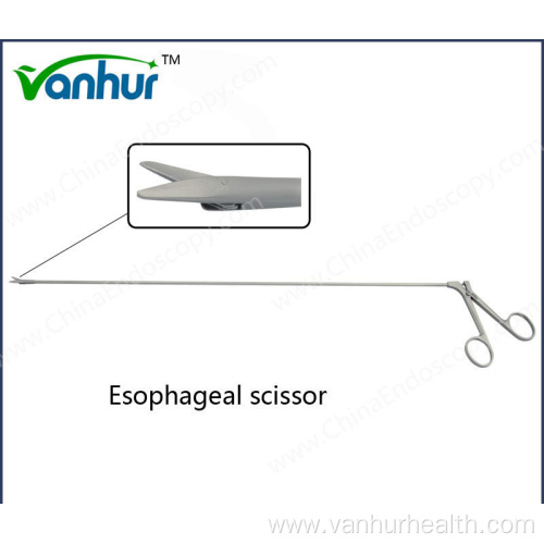 Surgical Instruments Esophagoscopy Esophageal Scissors